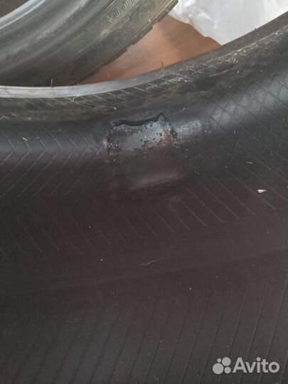 Dunlop All Season Maxx AS1 205/10 R20