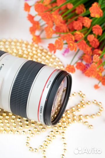 Canon EF 70-200mm f/2.8L USM