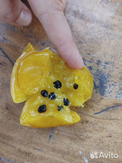 Семена Переския оранжевая/листовой кактус