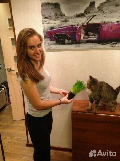 Зооняня в домашних условиях