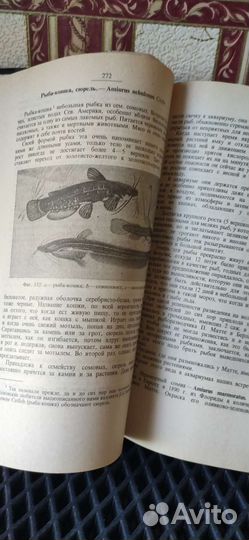 Аквариум-энциклопедия, справочник