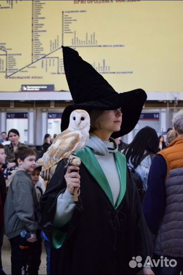 Поездка на поезде Гарри Поттер/Магический Экспресс