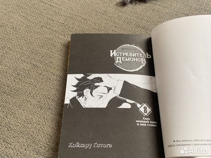 Манга истребитель демонов том 8