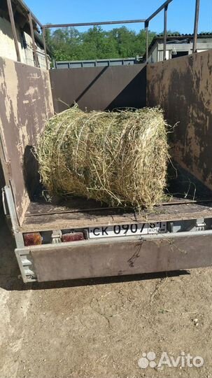 Люцерна в тюках