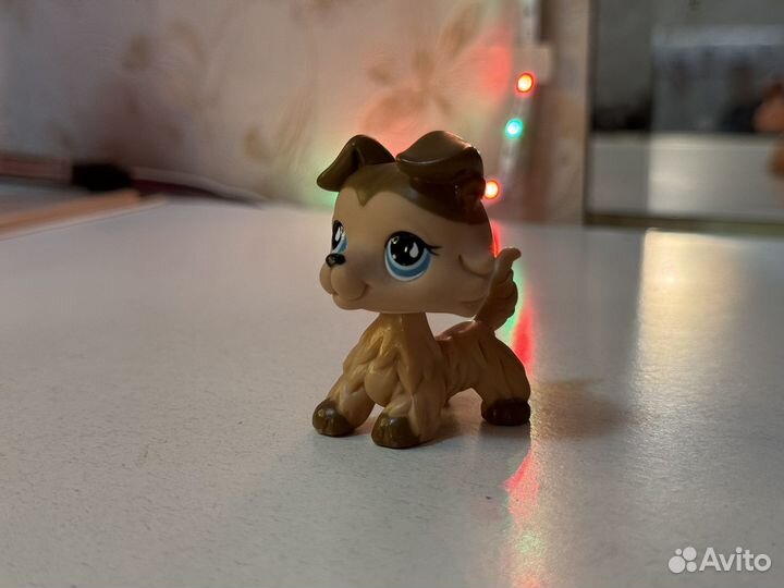 Littlest pet shop