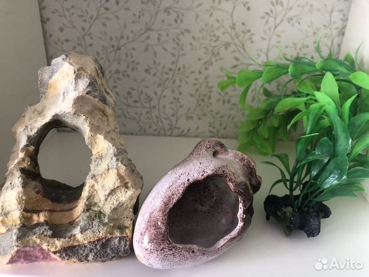 Аквариум с декором