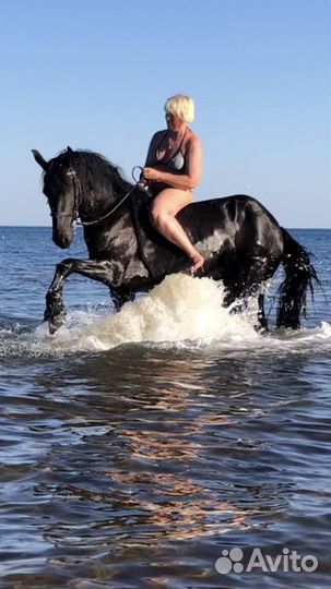 Развлечения