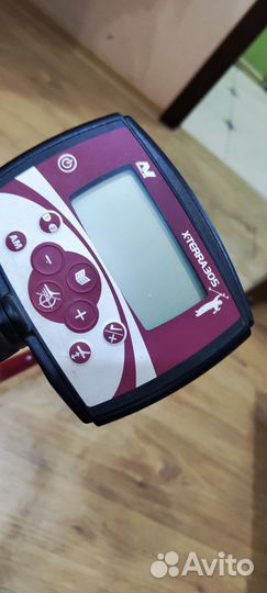 Minelab x terra 305