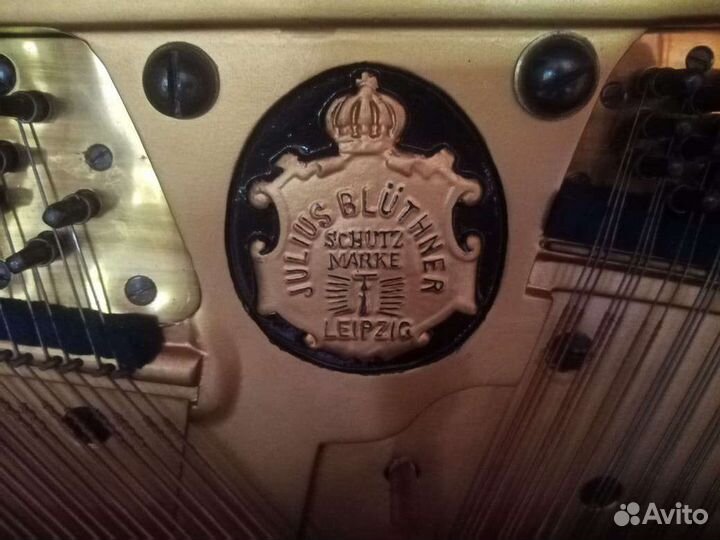 Пианино Bluthner