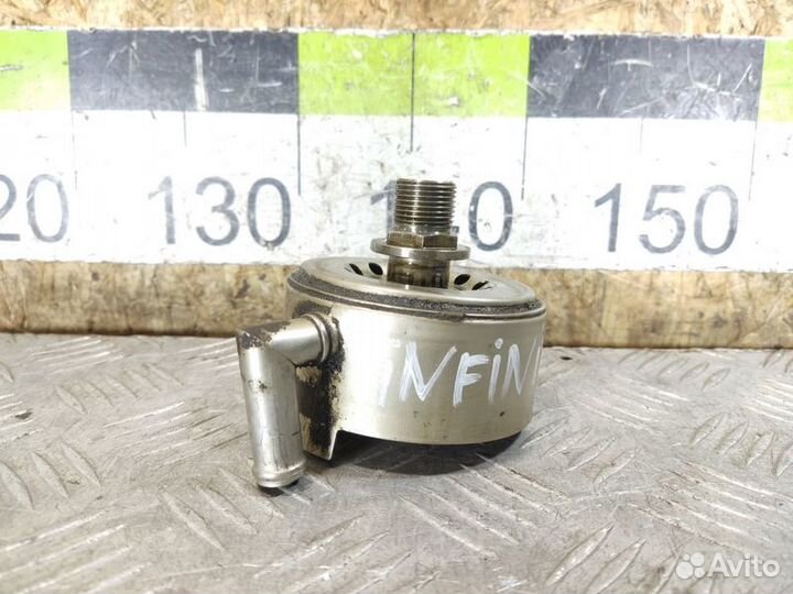 Радиатор масляный Nissan Teana j32