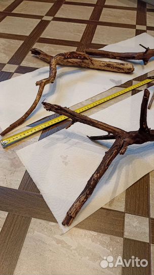 Растения и коряги затонувшие для аквариума