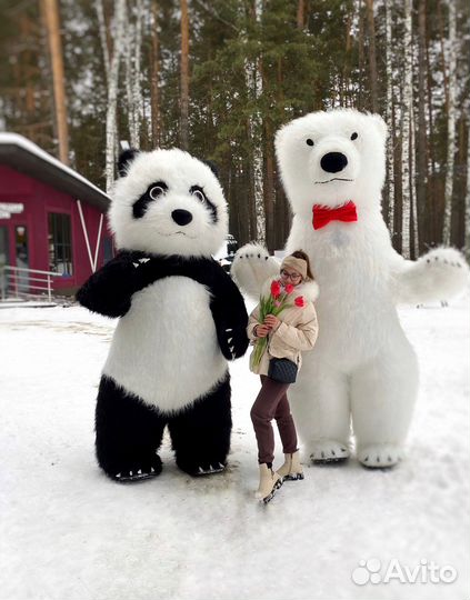 Поздравление от белого медведя/аниматор