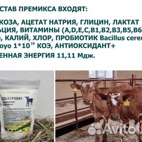 Старт Эйд Электролит для телят Inform Nutrition - купить ветеринарный препарат в Москве