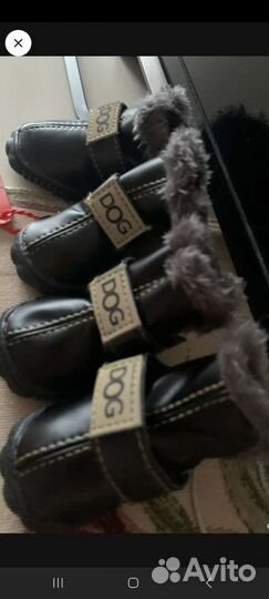 Ботинки для маленьких собак