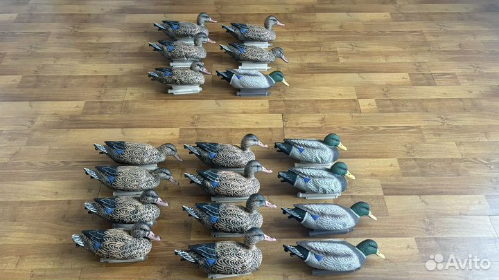 Чучела уток кряквы SoftPlast