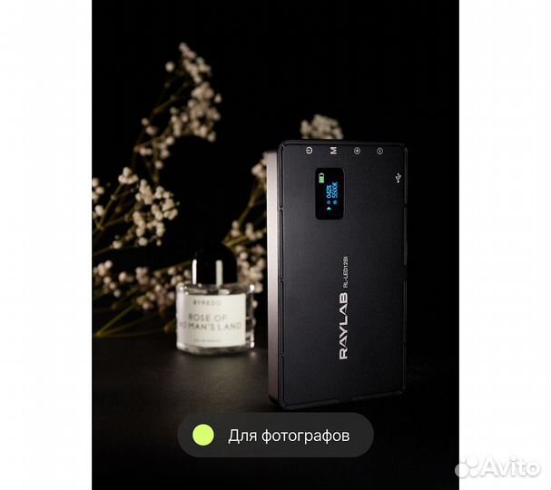 Осветитель светодиодный Raylab RL-LED12BI 3000-650