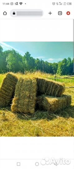 Сено для собак/ животных