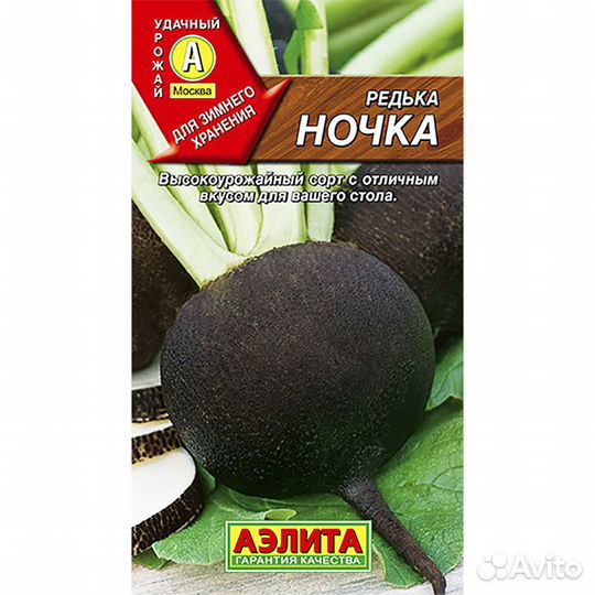 Редька Ночка