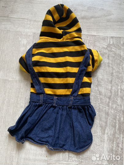 Одежда для маленьких собак