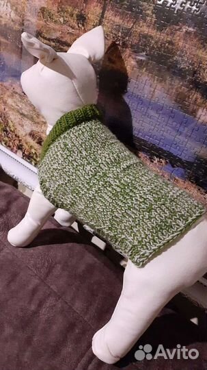 Жилетка для маленьких собак и кошек сфинкс