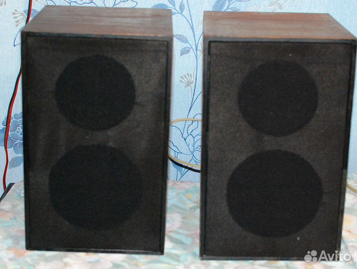 Акустические колонки Сонет, Vef