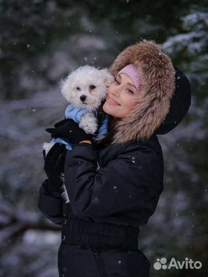 Фотограф, видеограф