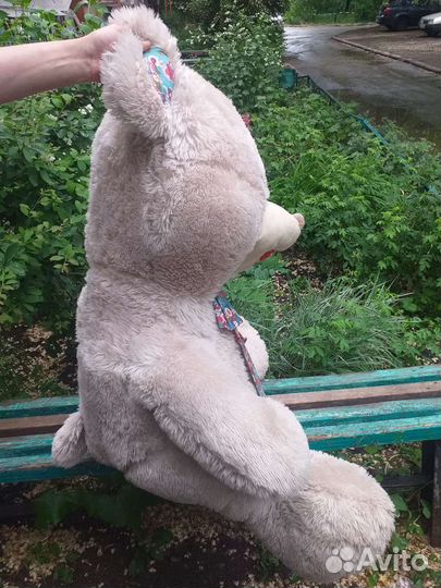 Мишка Тедди