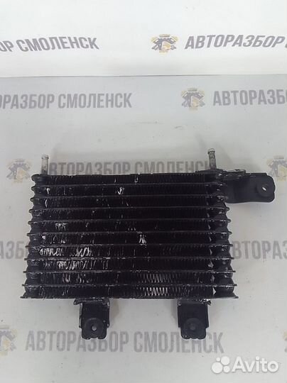 Радиатор масляный Kia Opirus GH G6CU 2003-2011