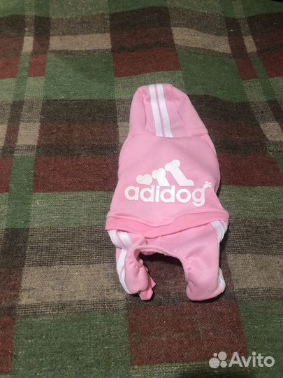 Одежда для собак