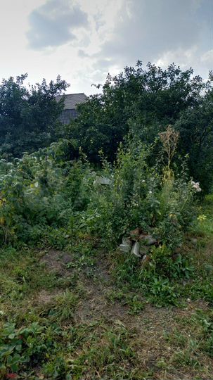 Дом 35,8 м² на участке 13,1 сот.