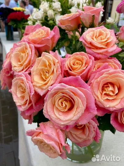 Цветы розы живые