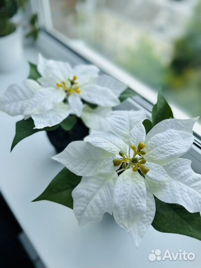 Искусственные цветы IKEA