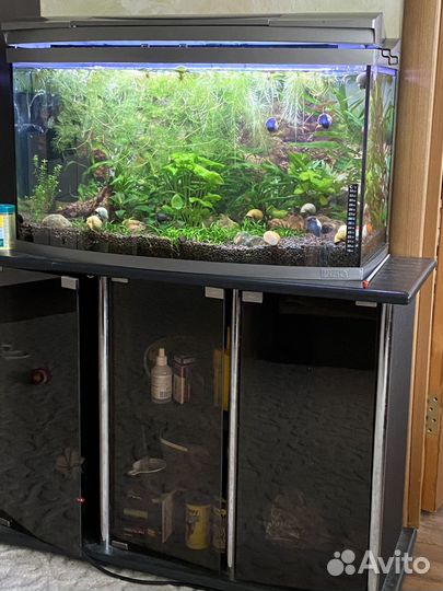 Аквариум Tetra с тумбой