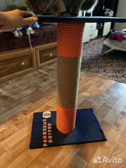 Когтеточка