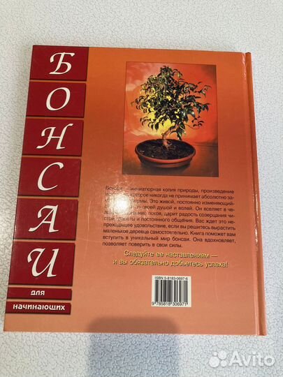 Крейг Кассинc. Бoнcaй для нaчинающих