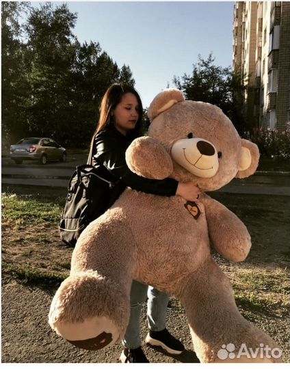 Плюшевый медведь