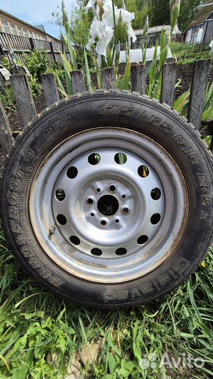 Gislaved nord frost 3 175/65 r14