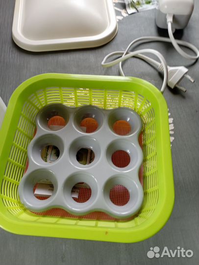 Проращиватель