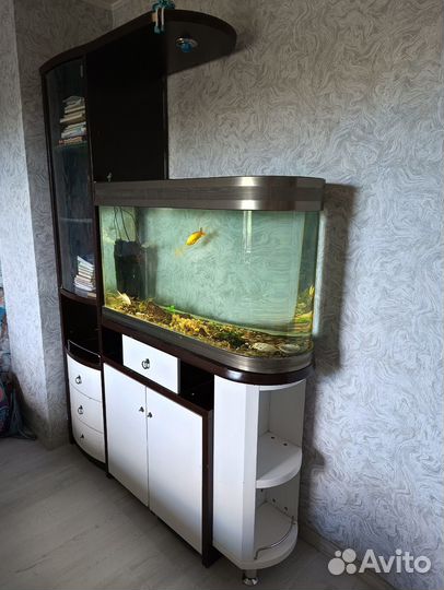 Продам большой аквариум на176л с рыбками и стенкой