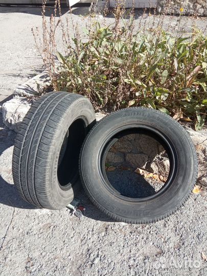 Bridgestone B250 195/65 R15 91T