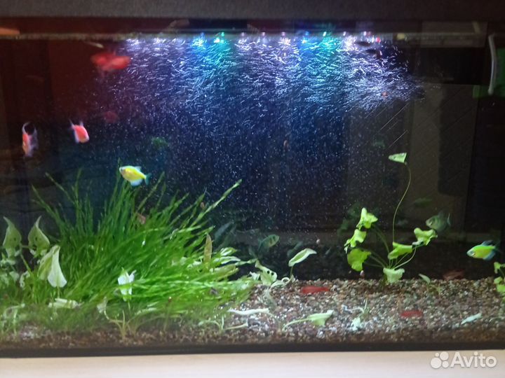 Украшение для аквариума