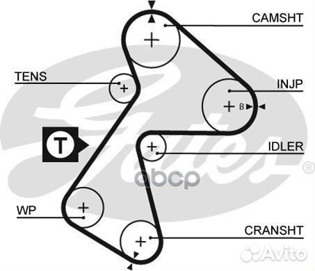 Ремень грм 151x254 Renault