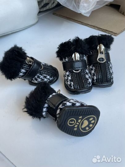 Обувь для собак мелких пород