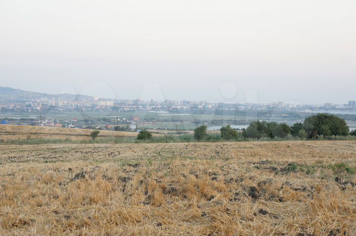 Участок 20 сот. (СНТ, ДНП)