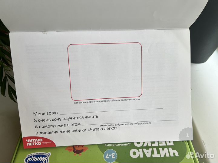 Умница, шорты, лягушка