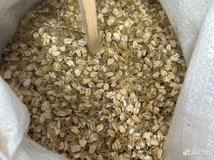 Каша для собак