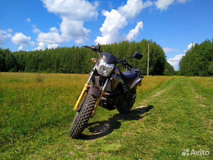 Racer Forester RC200LT