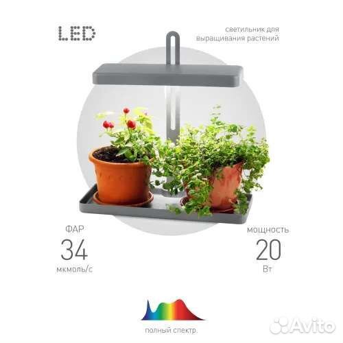 Фитолампа для растений новая эра fito-20W-qled-G