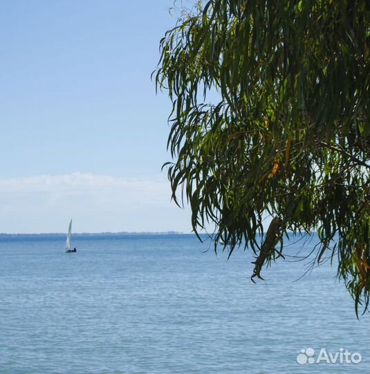 Подводная охота в Абхазии