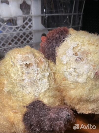 Игрушка СССР